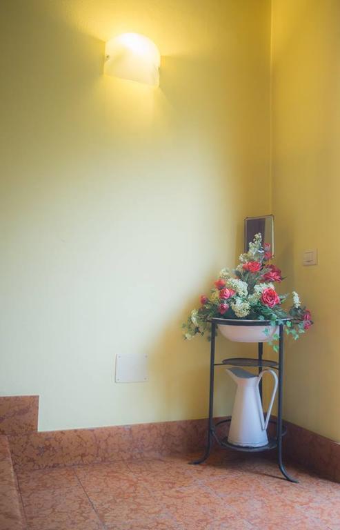 Albergo Olivo Belluno Veronese Εξωτερικό φωτογραφία